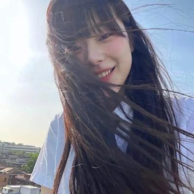 不死鸟之恋